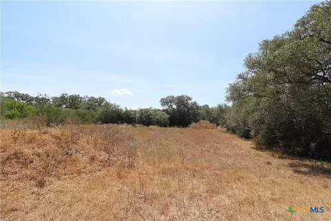 Other - tbd Danforth Rd, Goliad, TX 77963 photo 4 of 31