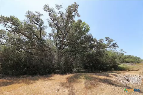 Other - tbd Danforth Rd, Goliad, TX 77963 photo 6 of 31