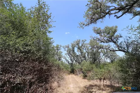 Other - tbd Danforth Rd, Goliad, TX 77963 photo 25 of 31