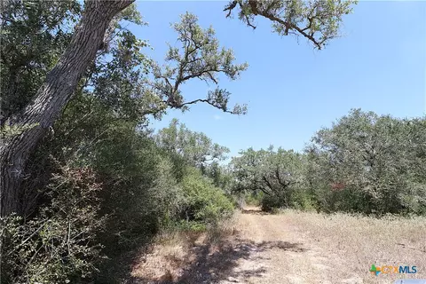 Other - tbd Danforth Rd, Goliad, TX 77963 photo 24 of 31