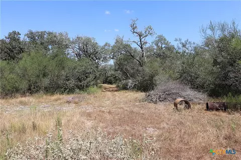 Other - tbd Danforth Rd, Goliad, TX 77963 photo 12 of 31