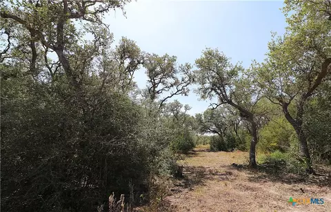 Other - tbd Danforth Rd, Goliad, TX 77963 photo 7 of 31