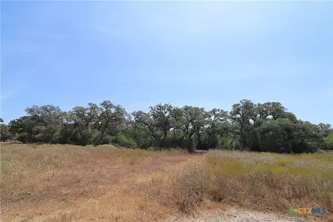 Other - tbd Danforth Rd, Goliad, TX 77963 photo 3 of 31