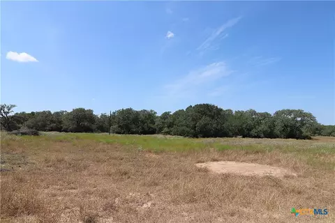 Other - tbd Danforth Rd, Goliad, TX 77963 photo 22 of 31