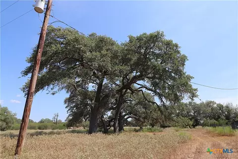 Other - tbd Danforth Rd, Goliad, TX 77963 photo 20 of 31
