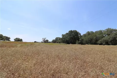 Other - tbd Danforth Rd, Goliad, TX 77963 photo 15 of 31