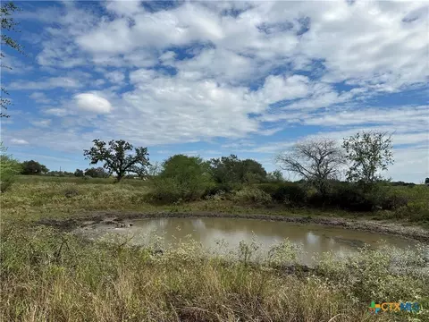 Tract 3 Regan Lane, Victoria, TX 77905