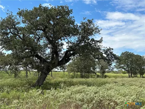 Tract 1 Regan Lane, Victoria, TX 77905