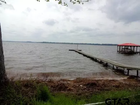23351 Wateridge Loop, Flint, TX 75762 photo 20