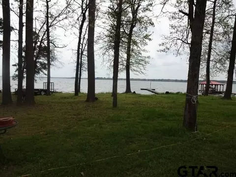 23351 Wateridge Loop, Flint, TX 75762 photo 19