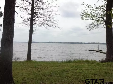 23351 Wateridge Loop, Flint, TX 75762 photo 1