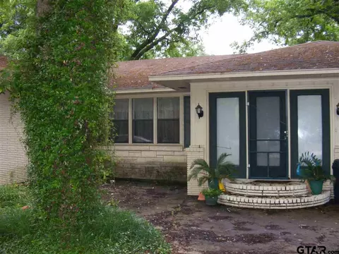 419 Kickapoo St, Frankston, TX 75763 photo 3