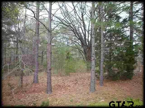 112 Johnston St, Arp, TX 75750 photo 5