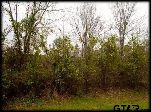 112 Johnston St, Arp, TX 75750 photo 3