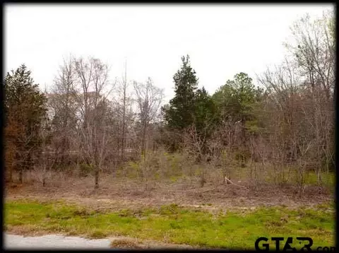 112 Johnston St, Arp, TX 75750 photo 2