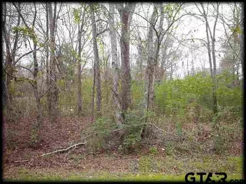 112 Johnston St, Arp, TX 75750 photo 4