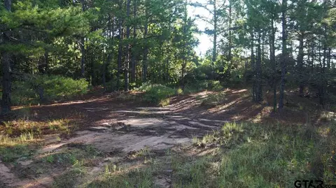 tbd Fm 2685, Gladewater, TX 75647 photo 8