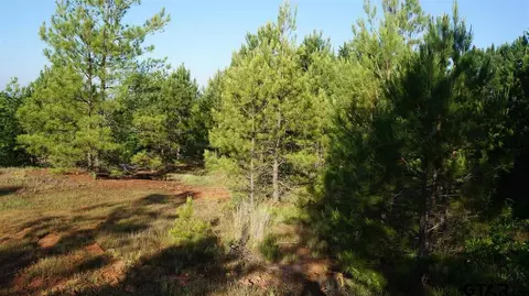 tbd Fm 2685, Gladewater, TX 75647 photo 6