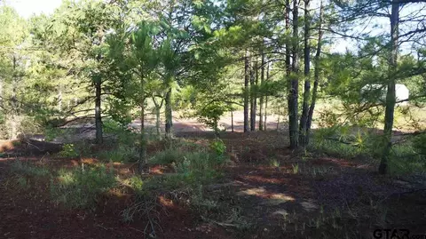 tbd Fm 2685, Gladewater, TX 75647 photo 13