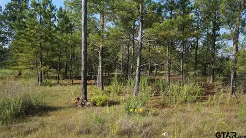 tbd Fm 2685, Gladewater, TX 75647 photo 16