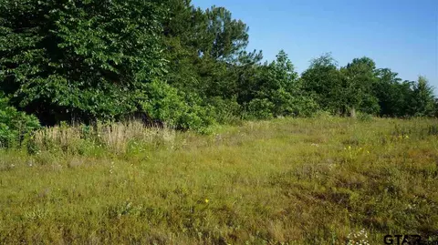 tbd Fm 2685, Gladewater, TX 75647 photo 4