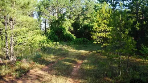 tbd Fm 2685, Gladewater, TX 75647 photo 7