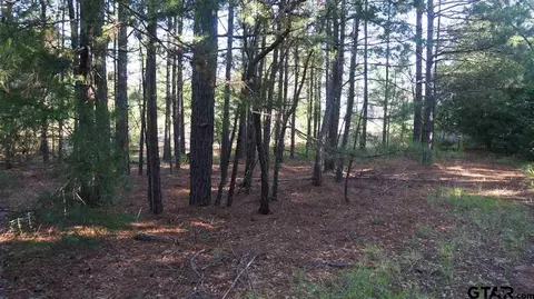 tbd Fm 2685, Gladewater, TX 75647 photo 10