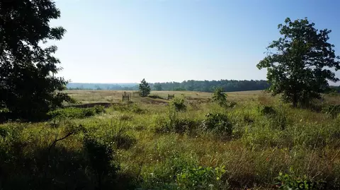 tbd Fm 2685, Gladewater, TX 75647 photo 2
