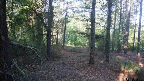 tbd Fm 2685, Gladewater, TX 75647 photo 12