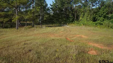 tbd Fm 2685, Gladewater, TX 75647 photo 3