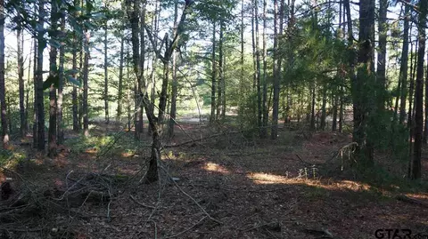 tbd Fm 2685, Gladewater, TX 75647 photo 9