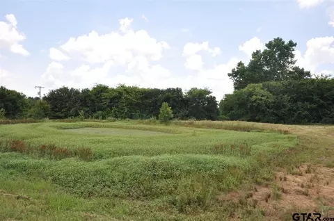 1041 Pr 5807, Van, TX 75790 photo 19