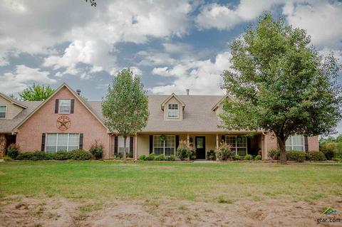 201 Interstate 20, Van, TX 75790 photo 1
