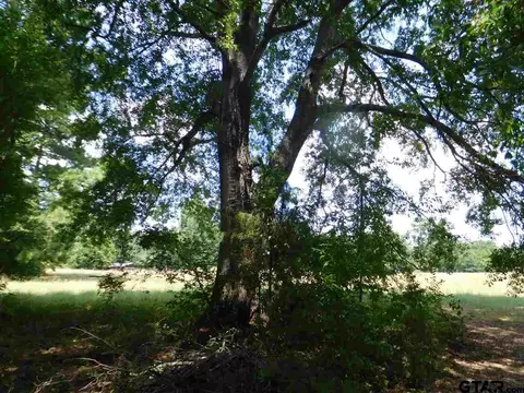 12351 18th Ave, Tyler, TX 75708 photo 29