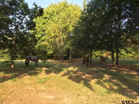 131 Pr 8520, Van, TX 75790 photo 5