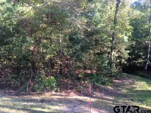 3005 Stonegate Blvd, Tyler, TX 75703 photo 6