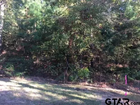 3005 Stonegate Blvd, Tyler, TX 75703 photo 4