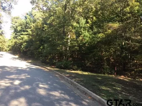 3005 Stonegate Blvd, Tyler, TX 75703 photo 5