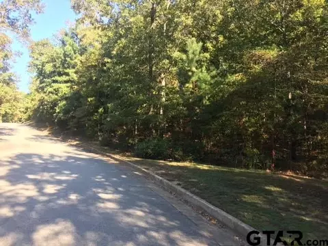 3005 Stonegate Blvd, Tyler, TX 75703 photo 2