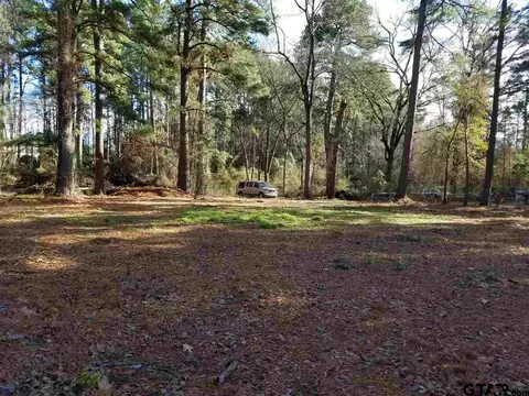 700 Ranier Dr, Longview, TX 75604 photo 2