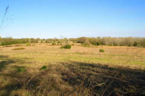 6080 Fm 69, Como, TX 75431 photo 4