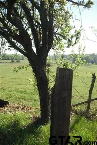 6080 Fm 69, Como, TX 75431 photo 10