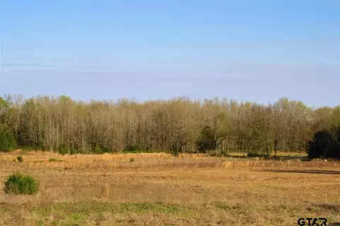 6080 Fm 69, Como, TX 75431 photo 2