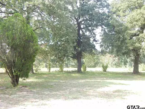 9943 Cr 3613, Murchison, TX 75778 photo 27