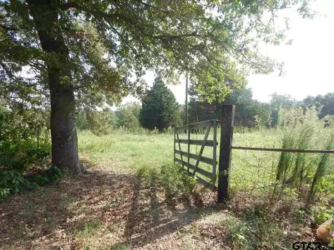 9943 Cr 3613, Murchison, TX 75778 photo 29