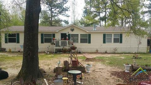 4072 Driskell Bridge Rd, Harleton, TX 75651 photo 1