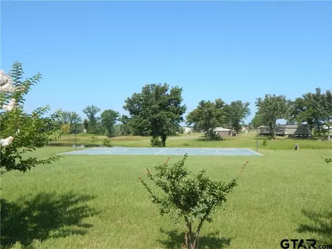 110 Arrowhead, Quitman, TX 75783 photo 9