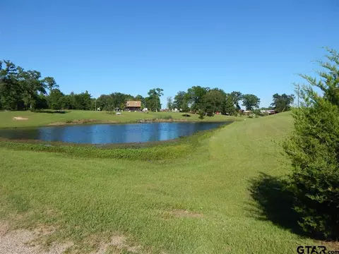 110 Arrowhead, Quitman, TX 75783 photo 17