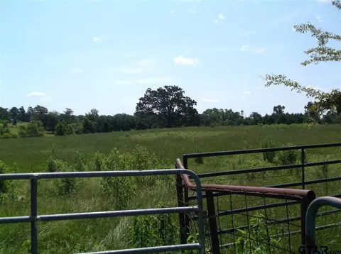 1393 Mora Rd, Gilmer, TX 75644 photo 18