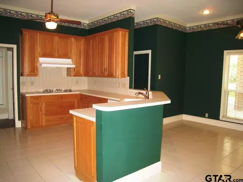 328 Kickapoo St, Frankston, TX 75763 photo 6